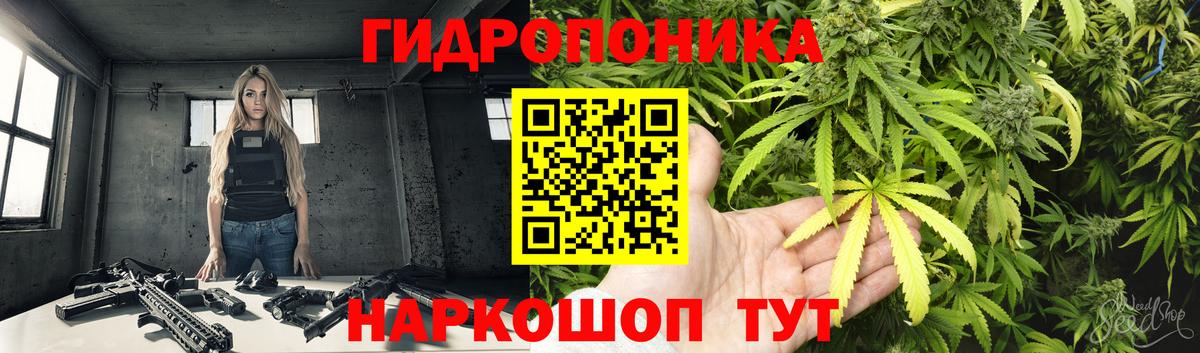 Каннабис индика Волоколамск